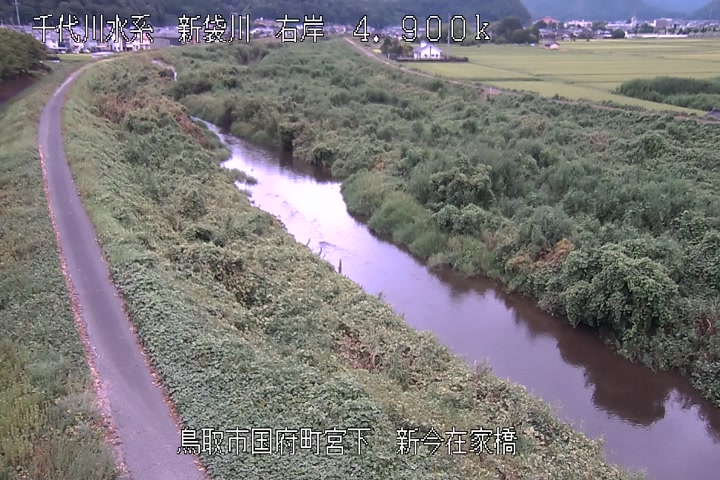 新今在家橋