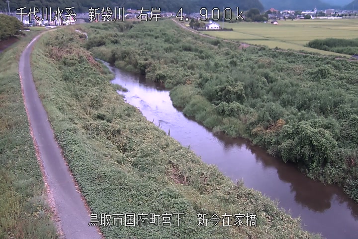 新今在家橋