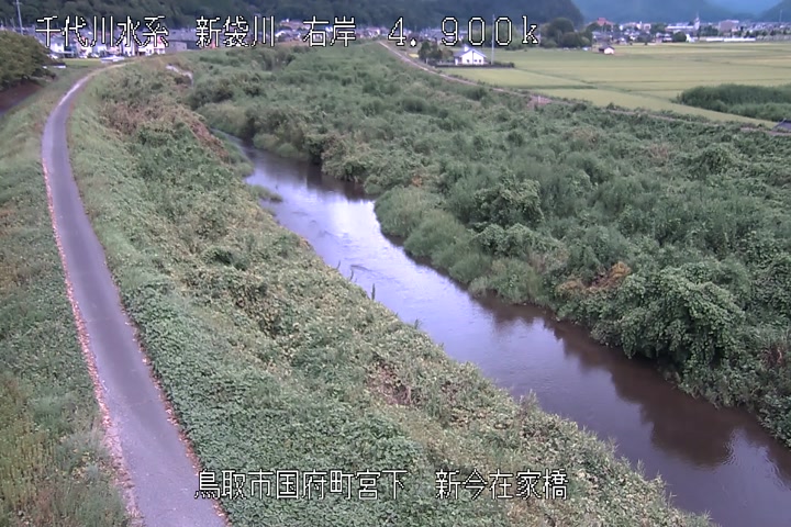 新今在家橋