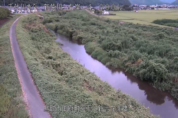 新今在家橋