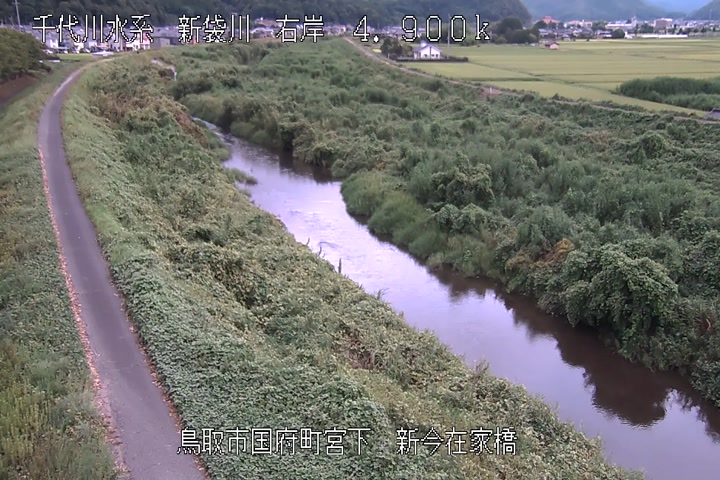 新今在家橋