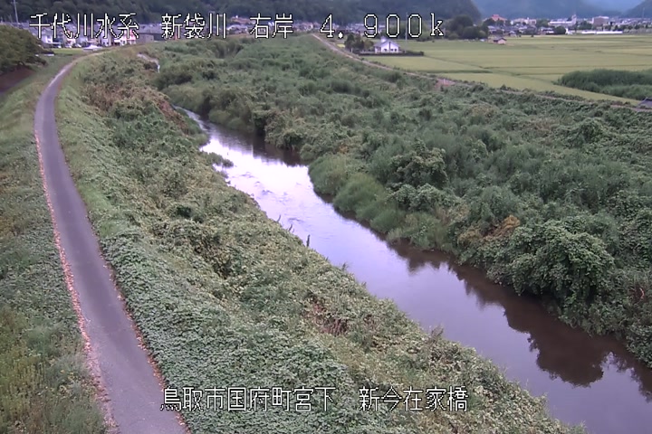 新今在家橋