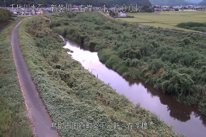 新今在家橋