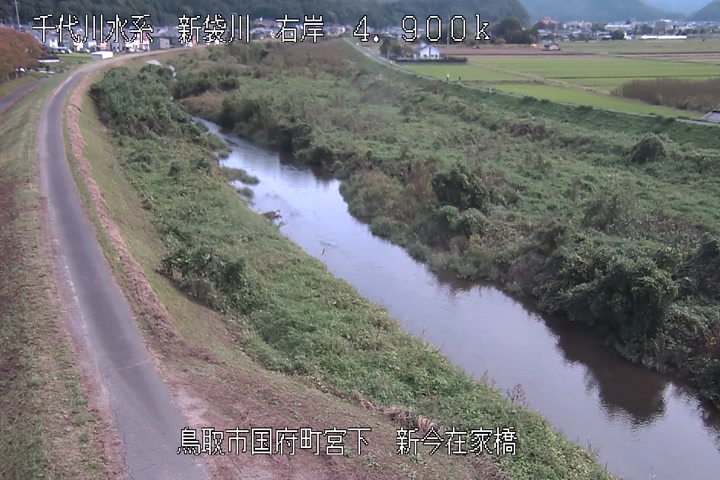 新今在家橋