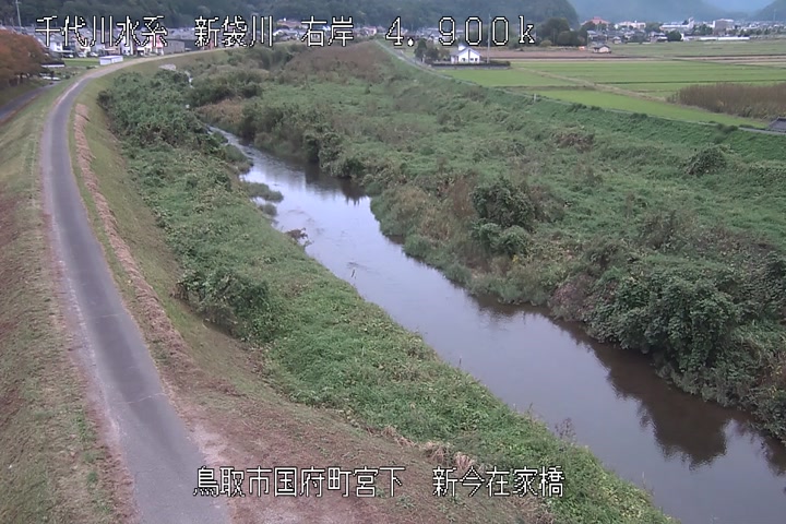 新今在家橋