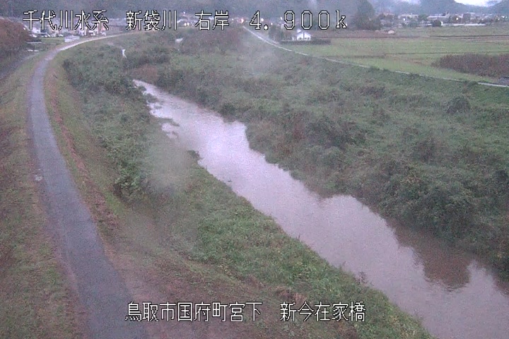 新今在家橋