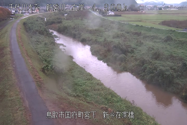 新今在家橋