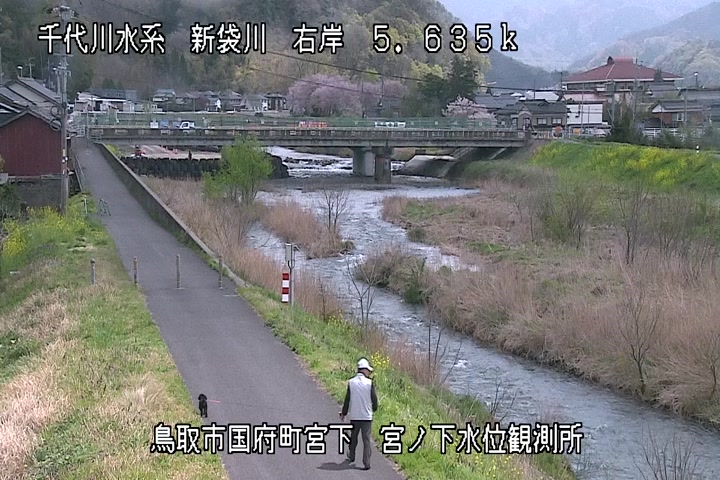 宮ノ下水位観測所