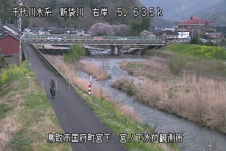 宮ノ下水位観測所