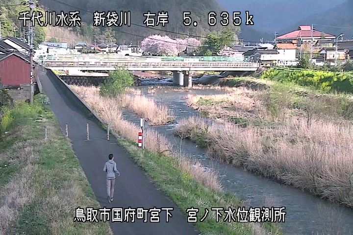 宮ノ下水位観測所