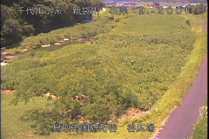 谷広場