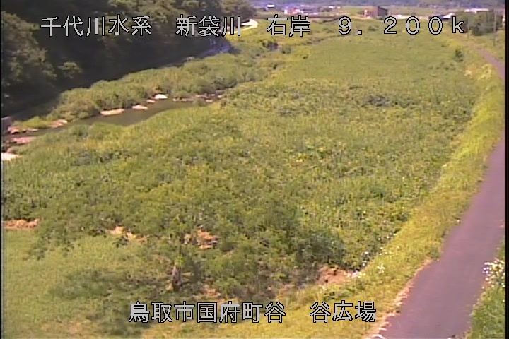 谷広場