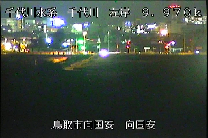 向国安