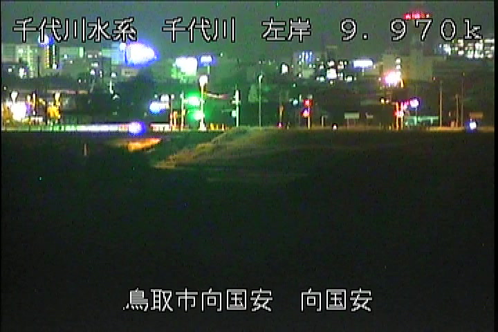 向国安