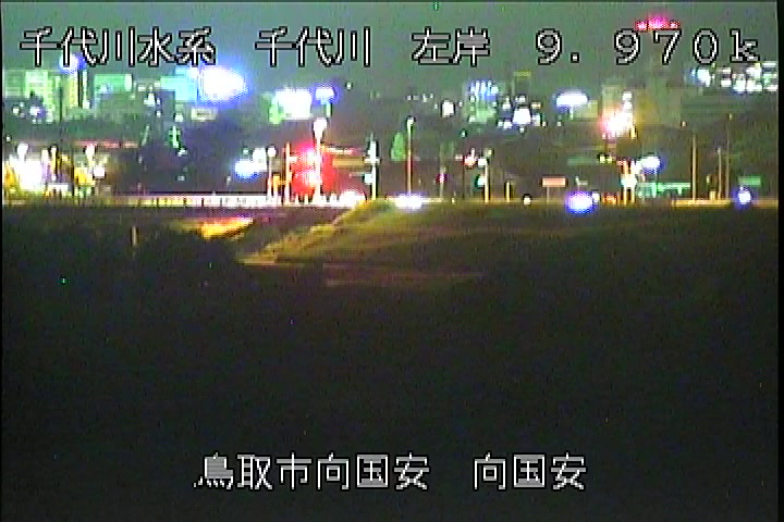 向国安