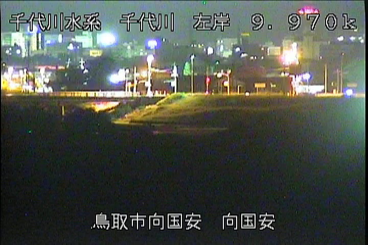 向国安