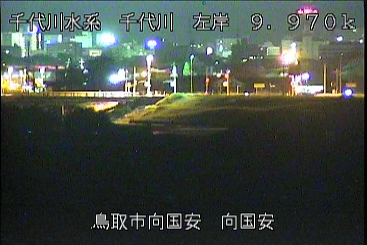 向国安