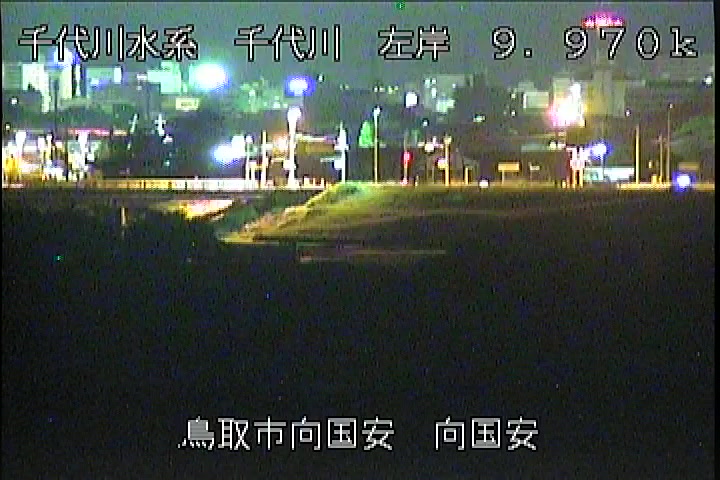 向国安