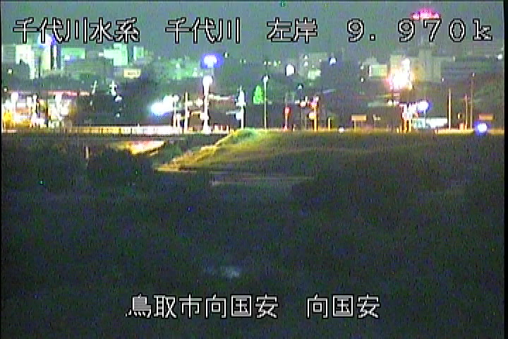 向国安