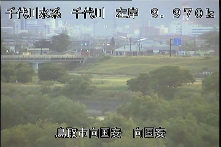 向国安