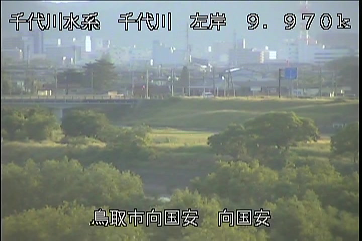 向国安