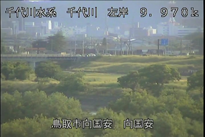 向国安