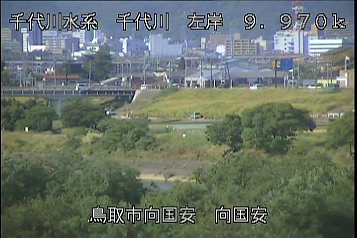 向国安