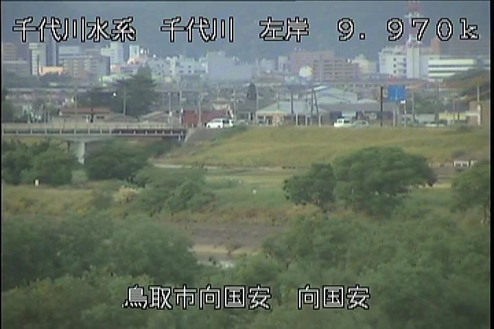 向国安