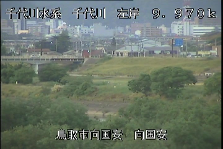 向国安