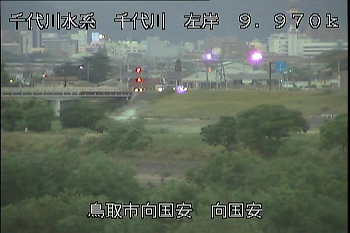 向国安
