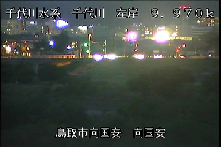 向国安