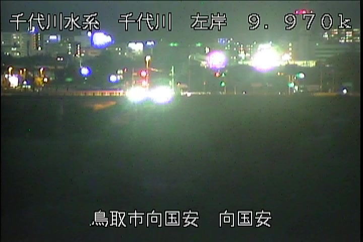 向国安