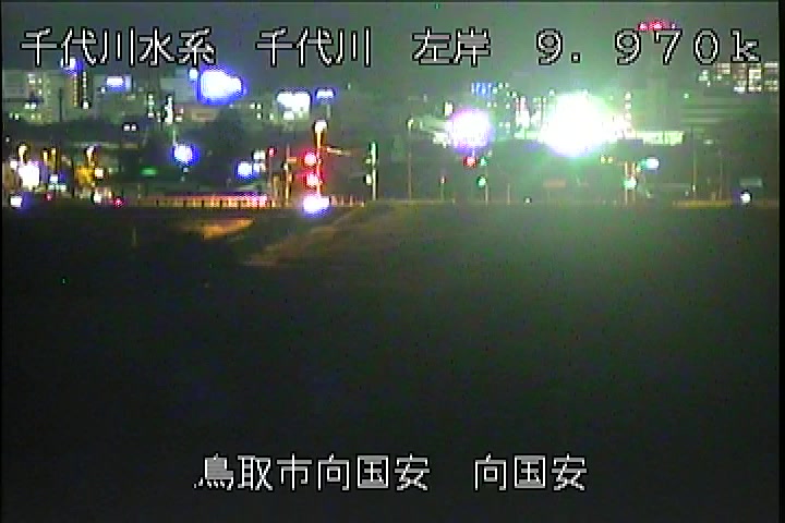 向国安
