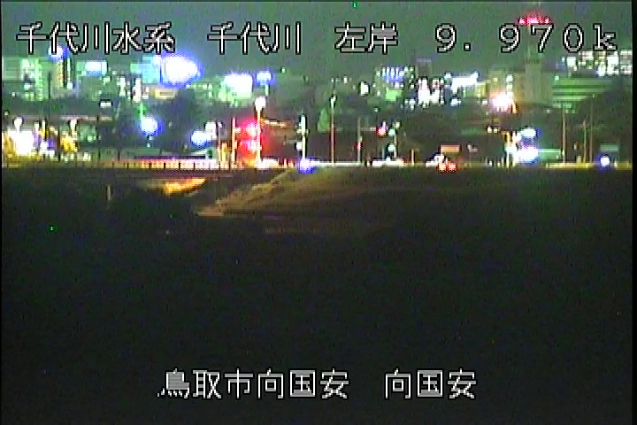 向国安