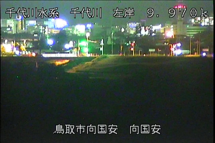 向国安