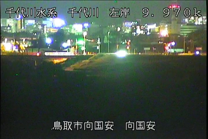 向国安