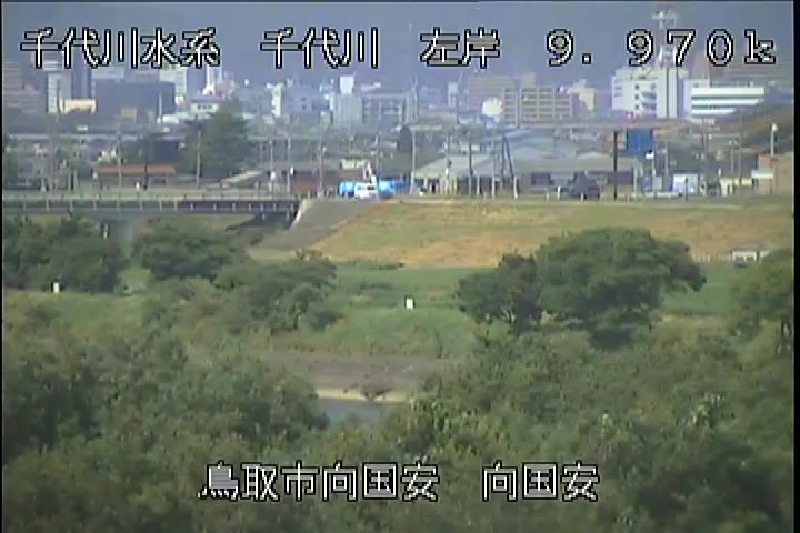 向国安