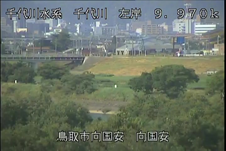 向国安