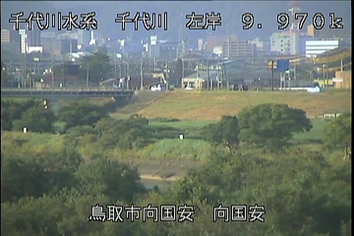 向国安