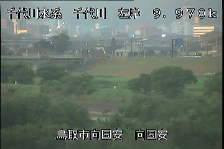 向国安