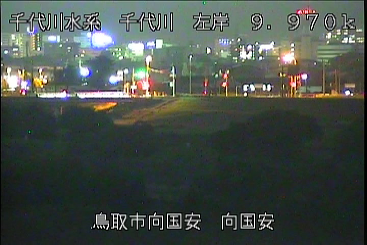 向国安