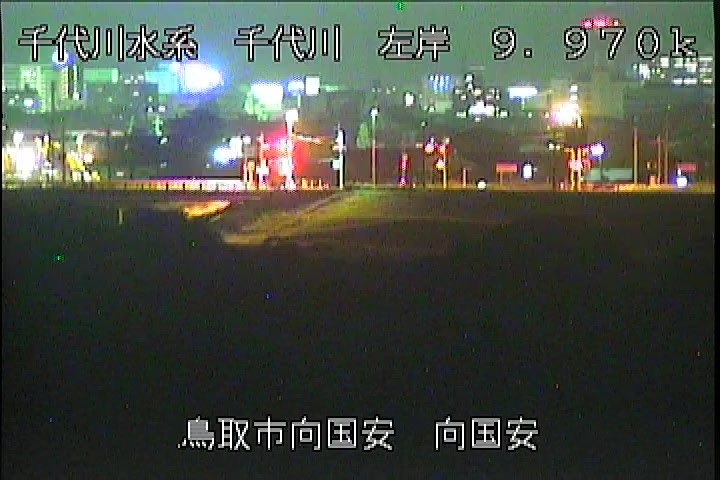 向国安