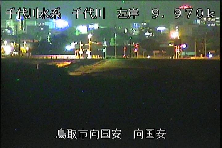 向国安