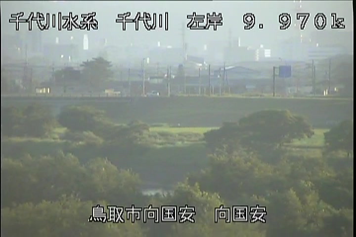 向国安