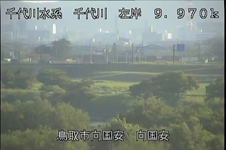 向国安