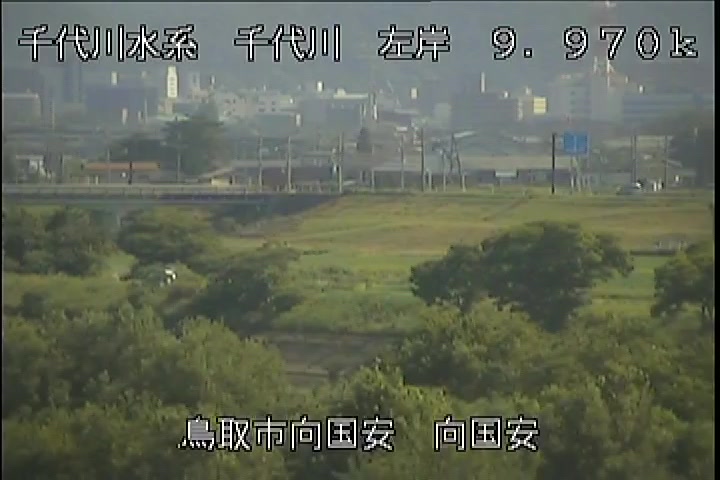 向国安