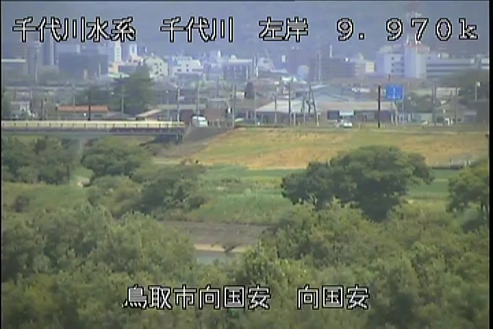 向国安