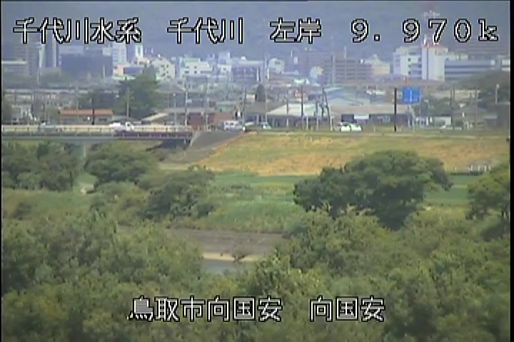 向国安