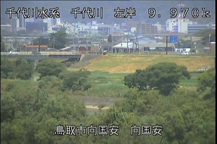 向国安