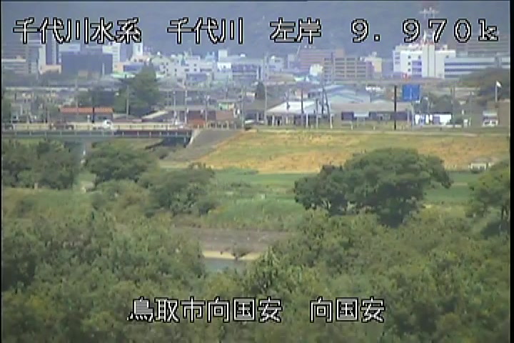 向国安